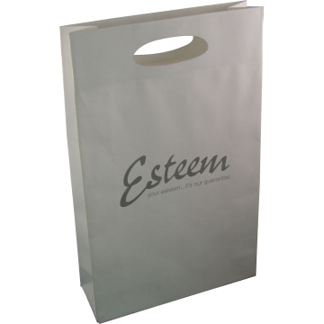 Paper Bag with Handle for Packing and Shipment